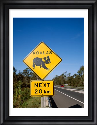 Framed Koala sign on the road, Queensland, Australia Print