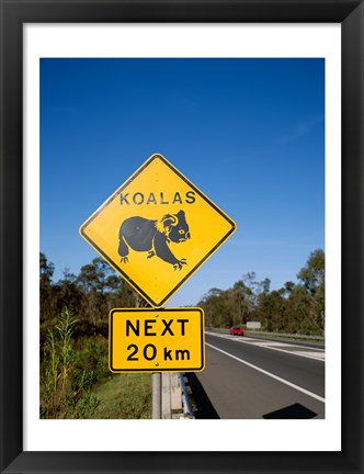 Framed Koala sign on the road, Queensland, Australia Print