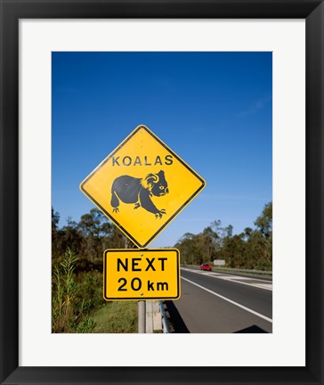 Framed Koala sign on the road, Queensland, Australia Print