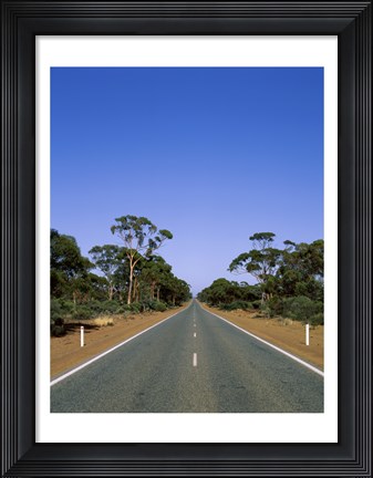 Framed Road passing through a forest, Western Australia, Australia Print