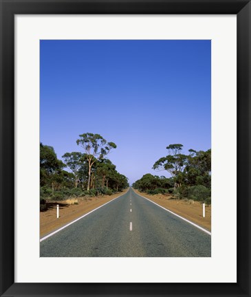 Framed Road passing through a forest, Western Australia, Australia Print