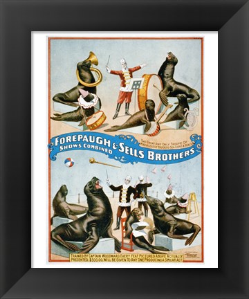 Framed Forepaugh &amp; Sells Brothers Print