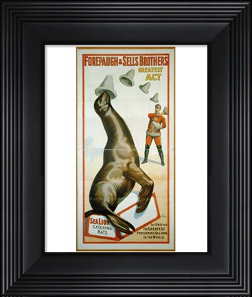 Framed Sea Lion Catching Hats Print
