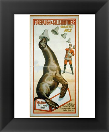 Framed Sea Lion Catching Hats Print