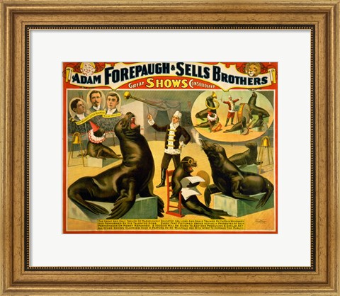 Framed Circus Seals Print
