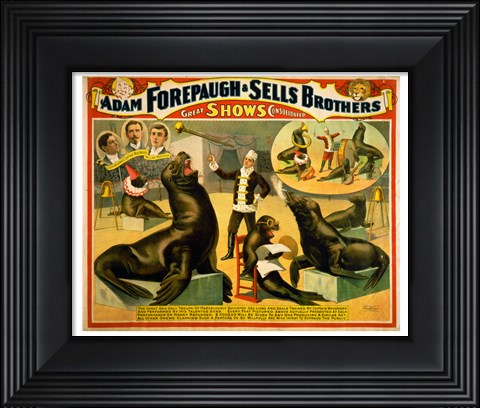 Framed Circus Seals Print