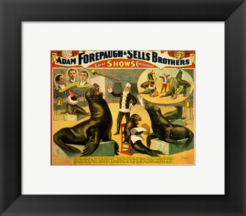 Framed Circus Seals Print