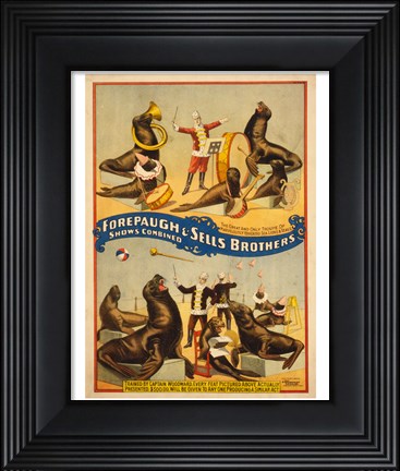 Framed Sells Brothers Sea Lion Circus Print