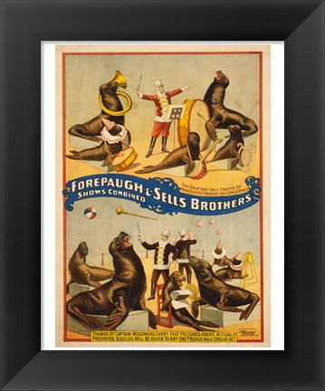 Framed Sells Brothers Sea Lion Circus Print