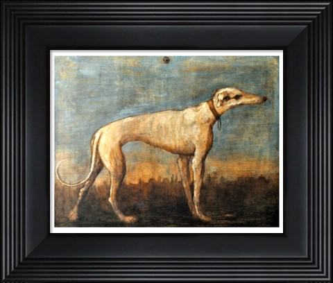 Framed Greyhound, Giandomenico Tiepolo Print