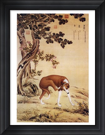 Framed Ten Prized Dogs Chinese Greyhound Print