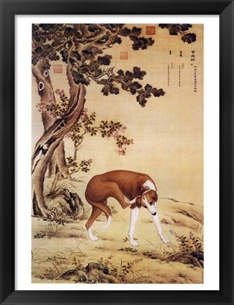 Framed Ten Prized Dogs Chinese Greyhound Print