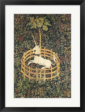 Framed Unicorn in Captivity Print