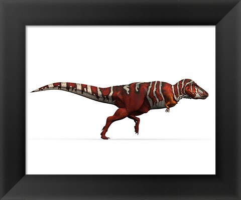 Framed T-rex side Print