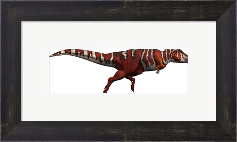 Framed T-rex side Print