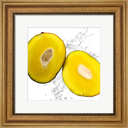 Framed Mango Splash Print