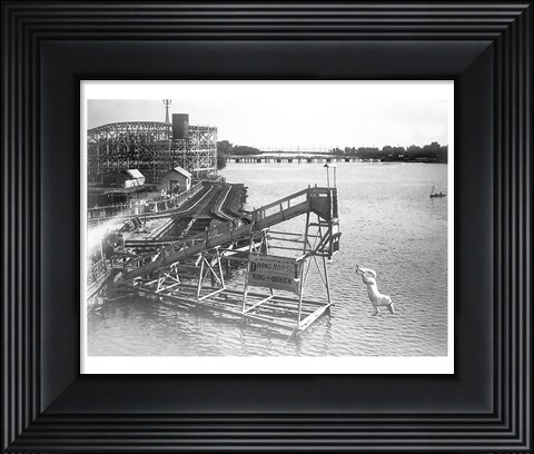 Framed diving horse at the Hanlan&#39;s Point Amusement Park, Toronto, Canada. Print