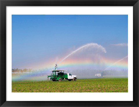 Framed Rainbow seen under the spray from sprinkler in a vegetable field, Florida, USA Print