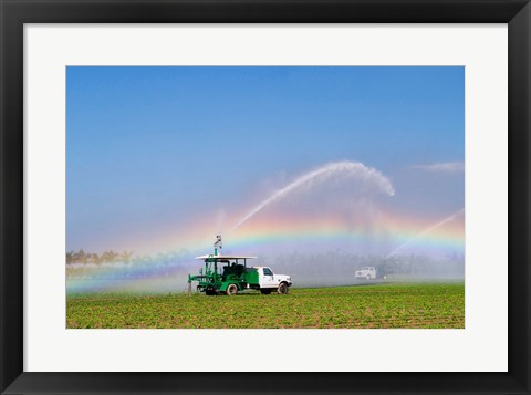 Framed Rainbow seen under the spray from sprinkler in a vegetable field, Florida, USA Print