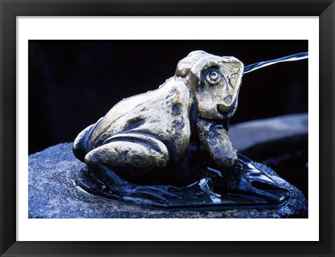 Framed Canada, British Columbia,  Butchart Gardens, sculpture frog, fountain Print