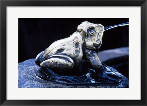 Framed Canada, British Columbia,  Butchart Gardens, sculpture frog, fountain Print