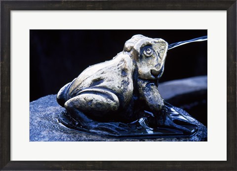 Framed Canada, British Columbia,  Butchart Gardens, sculpture frog, fountain Print