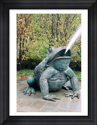 Framed USA, Texas, Dallas, Dallas Arboretum, frog sculpture spitting out water Print