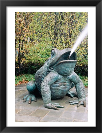 Framed USA, Texas, Dallas, Dallas Arboretum, frog sculpture spitting out water Print