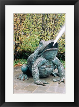 Framed USA, Texas, Dallas, Dallas Arboretum, frog sculpture spitting out water Print