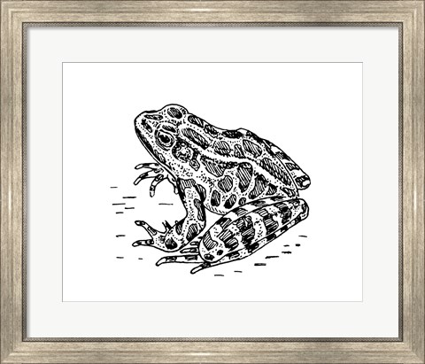 Framed Frog Print