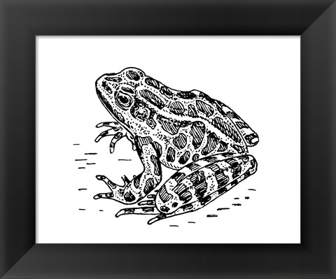 Framed Frog Print