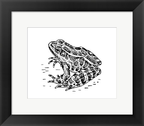 Framed Frog Print