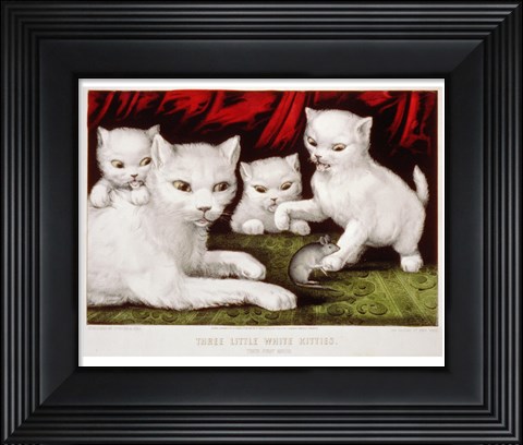 Framed Three Little White Kitties Print