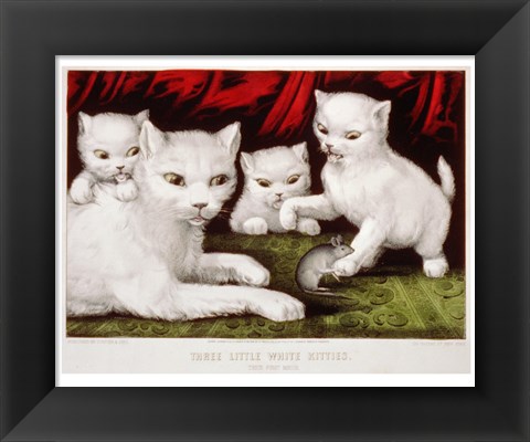 Framed Three Little White Kitties Print