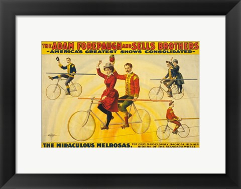 Framed Miraculous Melrosas Print