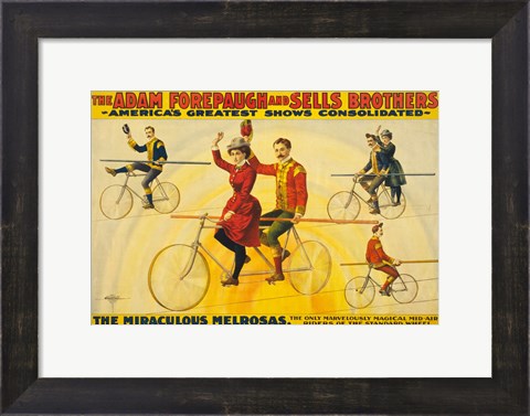 Framed Miraculous Melrosas Print