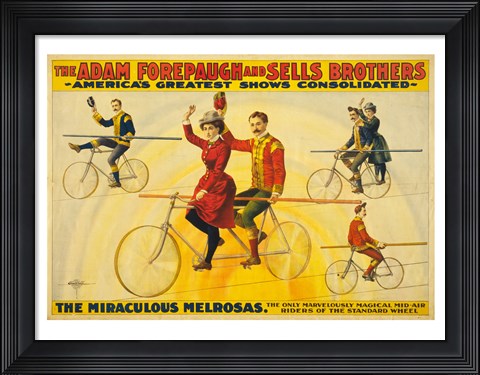 Framed Miraculous Melrosas Print