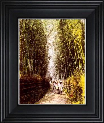 Framed Bamboo Path Print