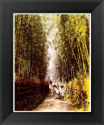 Framed Bamboo Path Print