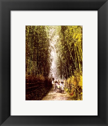 Framed Bamboo Path Print