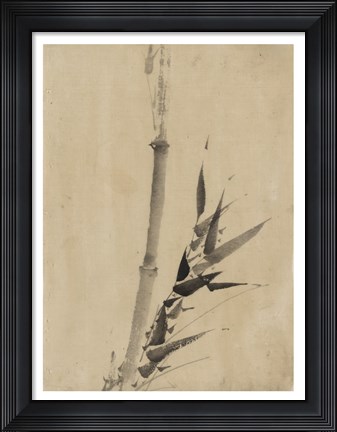 Framed Banboo Ink Painting Print