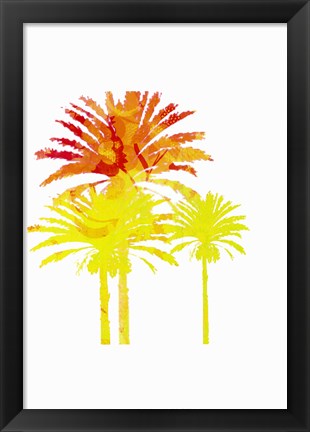 Framed Sunny Palm II Print
