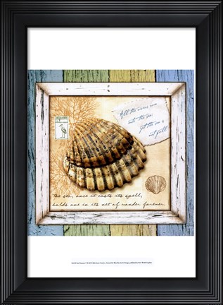 Framed Sea Treasures V Print