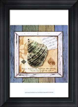 Framed Sea Treasures VI Print