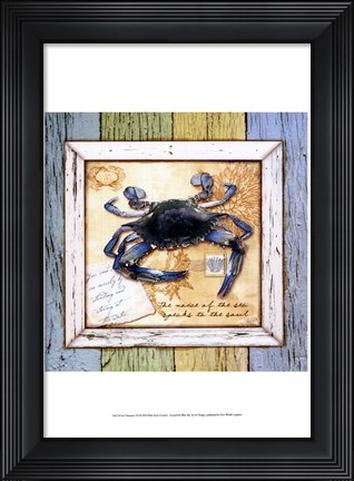 Framed Sea Treasures VII Print