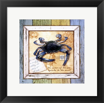 Framed Sea Treasures VII Print