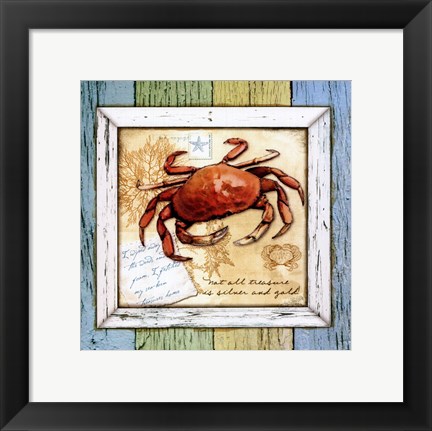 Framed Sea Treasures VIII Print