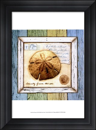 Framed Sea Treasures XI Print