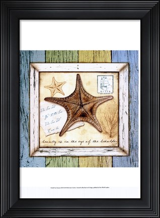 Framed Sea Treasures XII Print