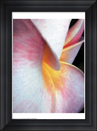 Framed Flowers II Print